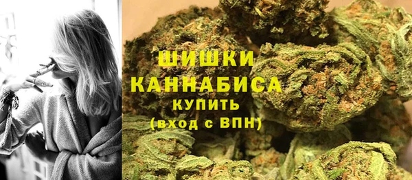 индика Абдулино