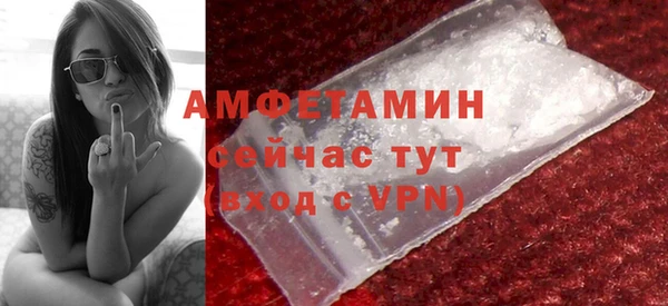 хмурый Алексин