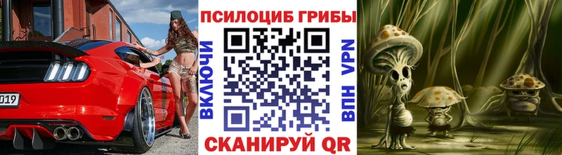 купить наркотики цена  Мамадыш  Галлюциногенные грибы GOLDEN TEACHER 